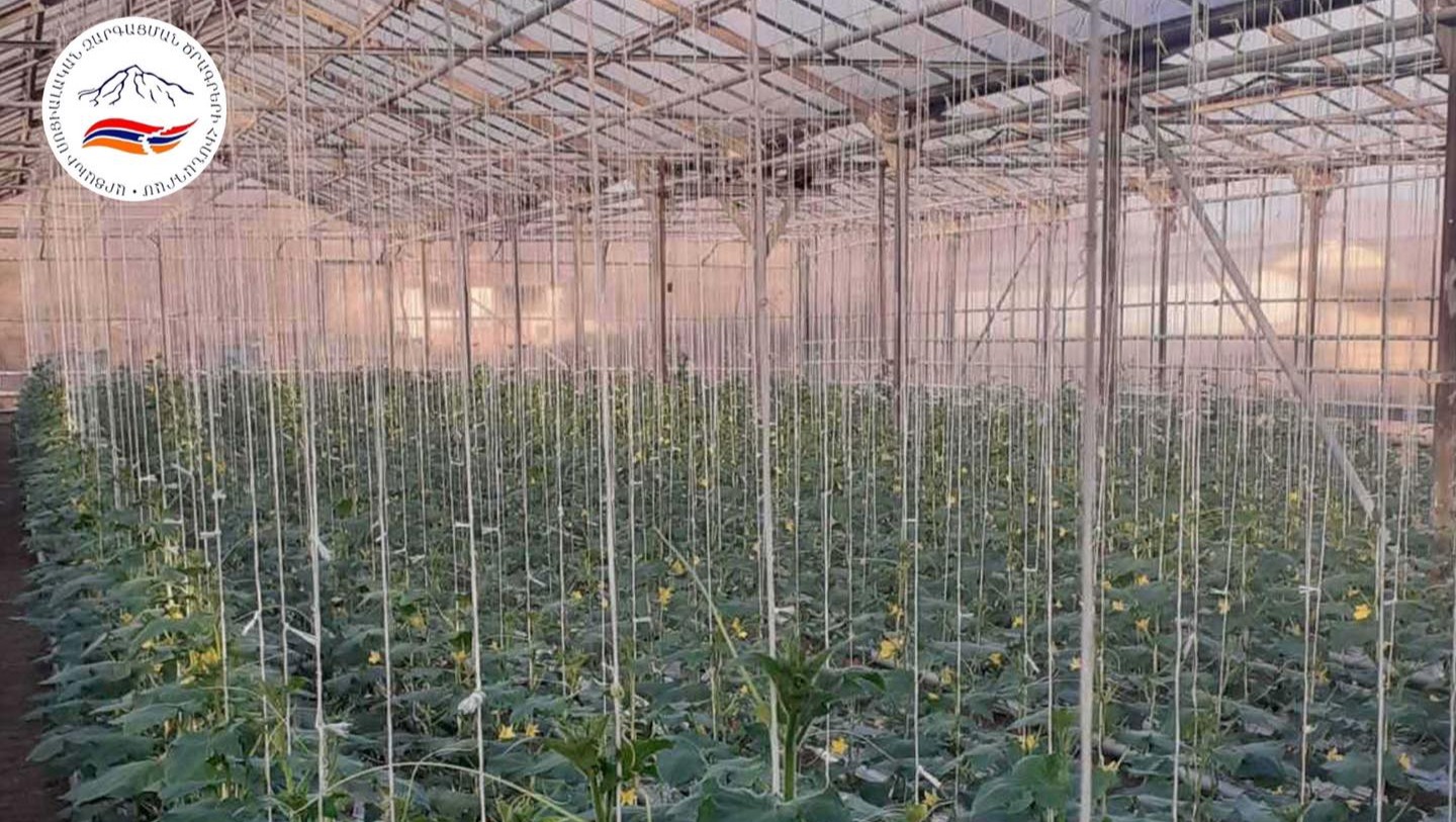 Nine months after being forcibly displaced, Artsakhtsis are working towards a sustainable future