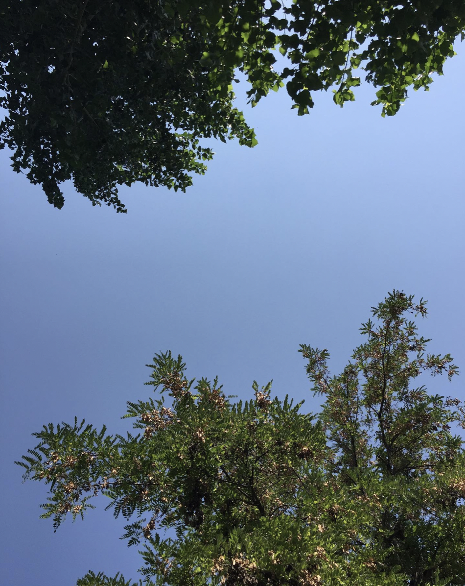 duality / two worlds collide